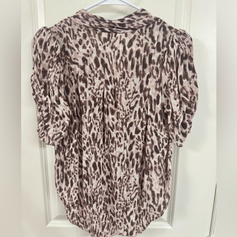 Maeve Brown and White Ruffled Short Sleeve Blouse - Picture 1 of 4